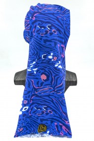 Cebra azul 2